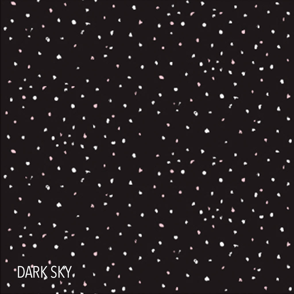 DARK-SKY